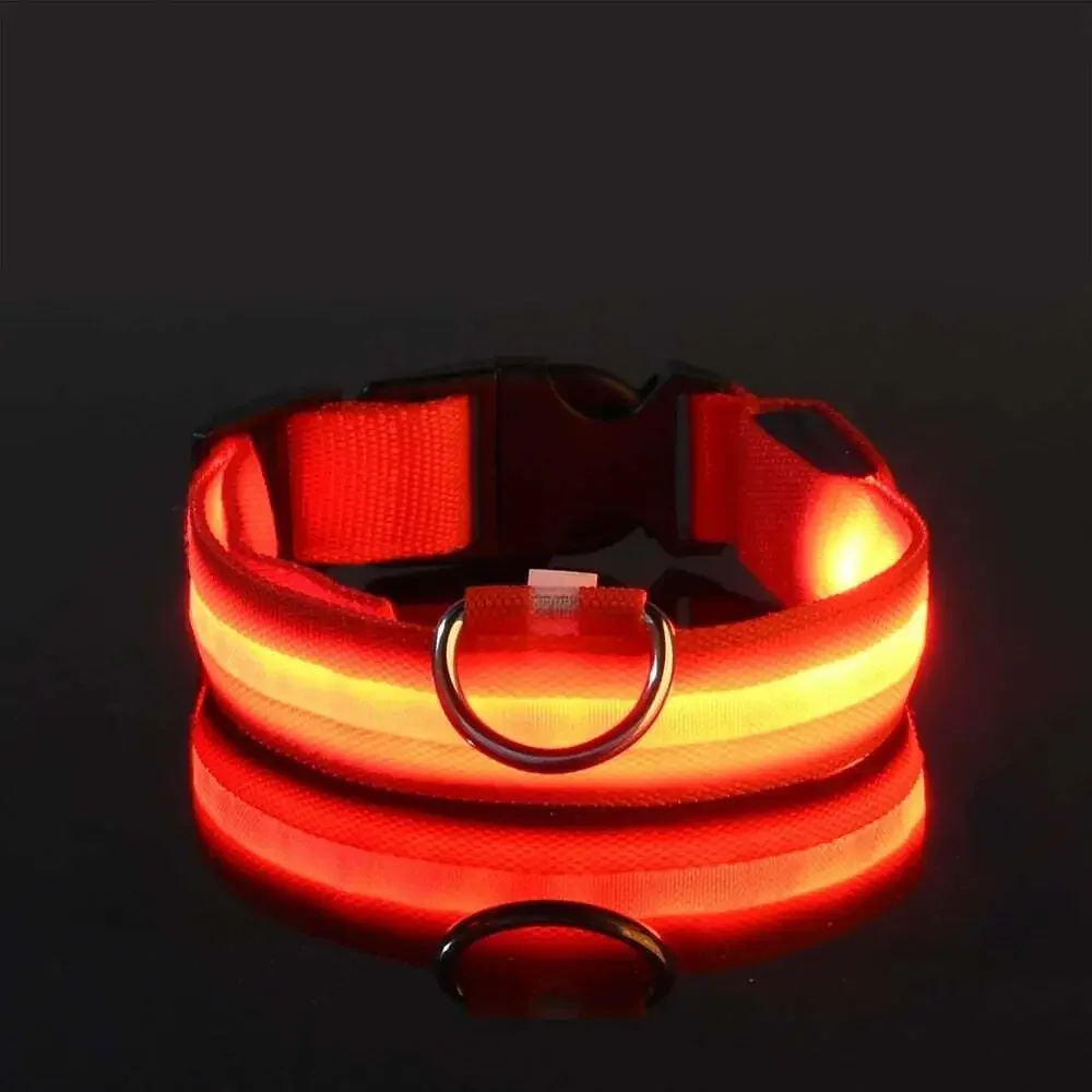 Nylon LED Night Safety Flashing Glow in the Dark Dog Leash Dogs Luminous Fluores